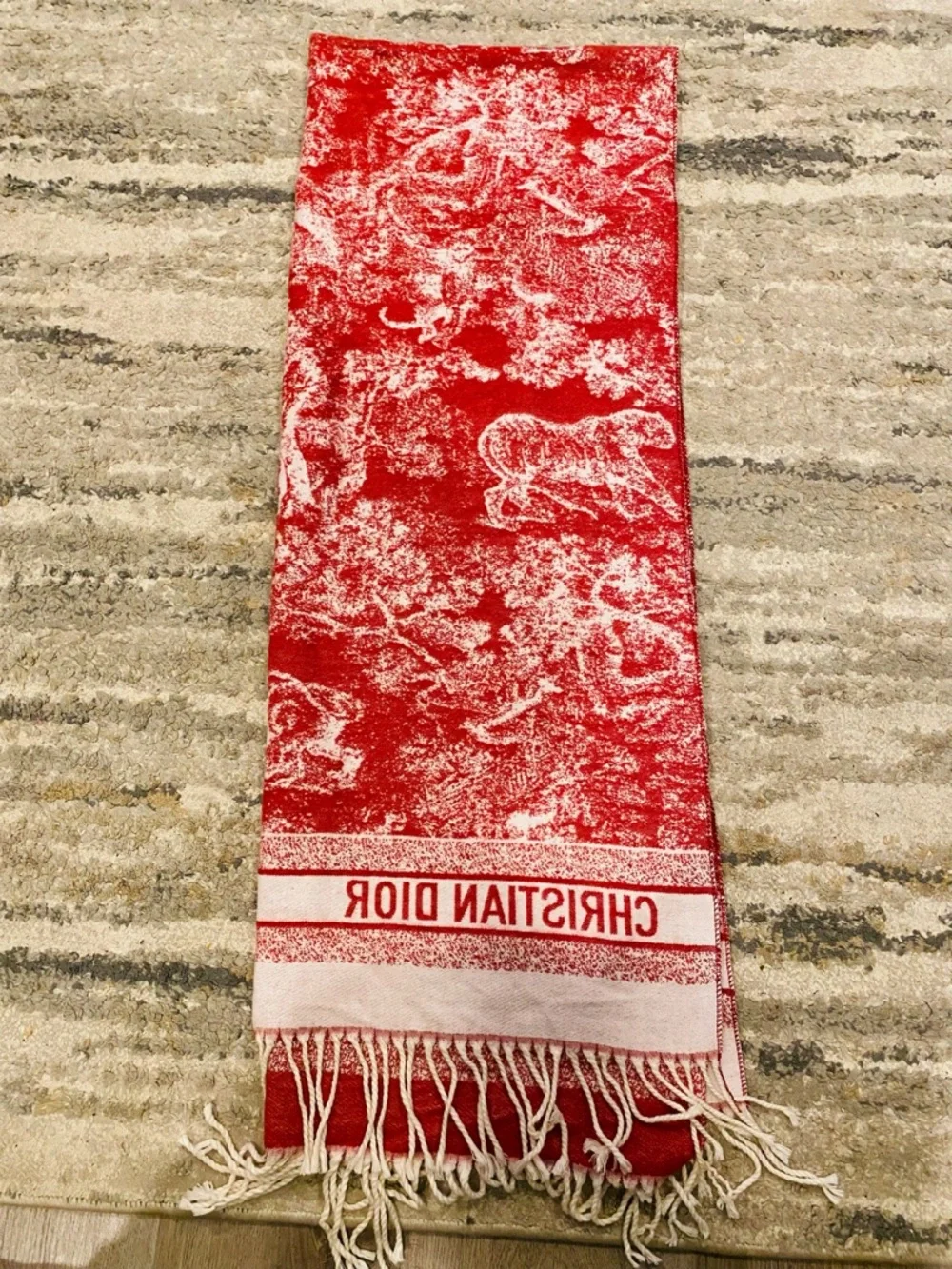 Dior Toile De Jouy Sauvage Scarf
